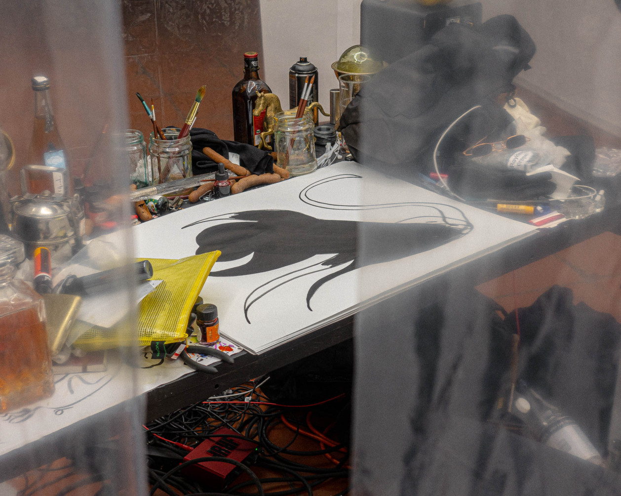 Detail from Young Spring at Hulias. Installation, performance, drawing, painting, sound. Photo By: Jørn Aagard & Ilavenil Vasuky Jayapalan