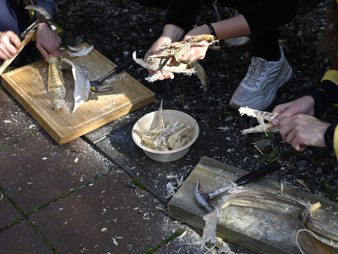 Dried Cod performance by Agnete Tangrand, commissioned for Art on Food at the old Munch Museum in Oslo, 2024. Photo by OCA Office for Contemporary Art Norway.