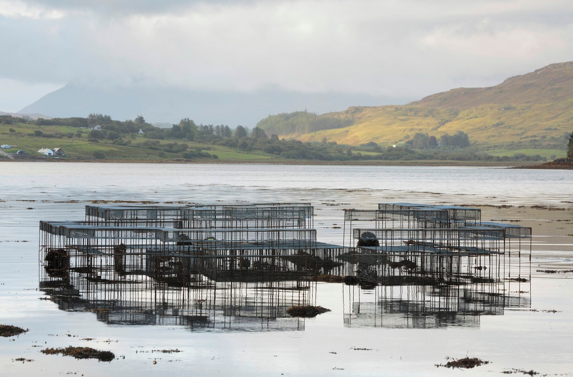 CLIMAVORE - On Tidal Zones by Cooking Sections