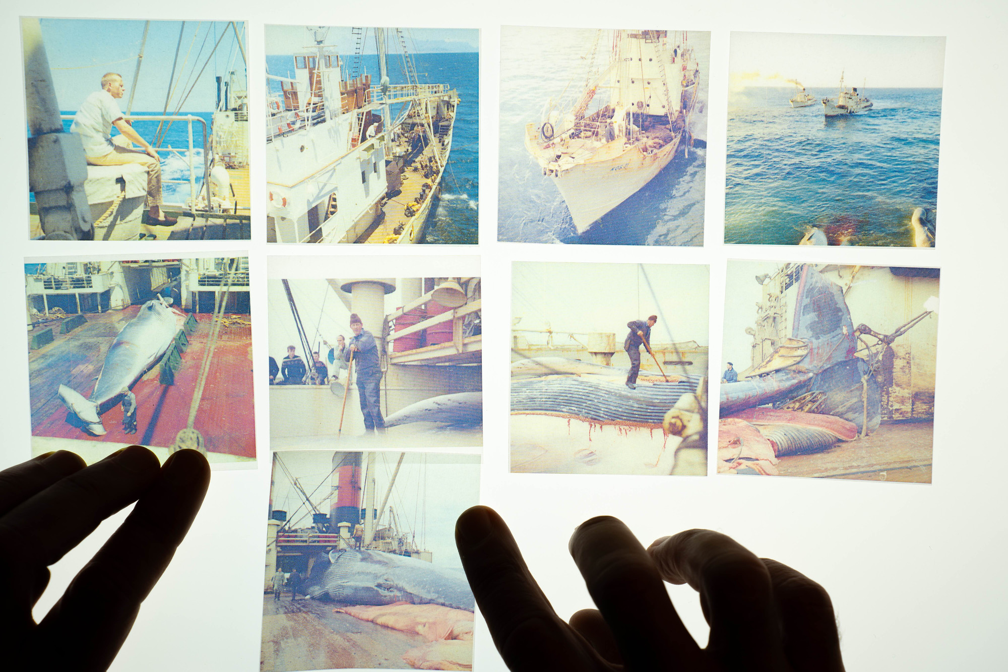 The Souls of White Folk (work in progress) lecture performance.
Studio documentation. Photo: Martin White