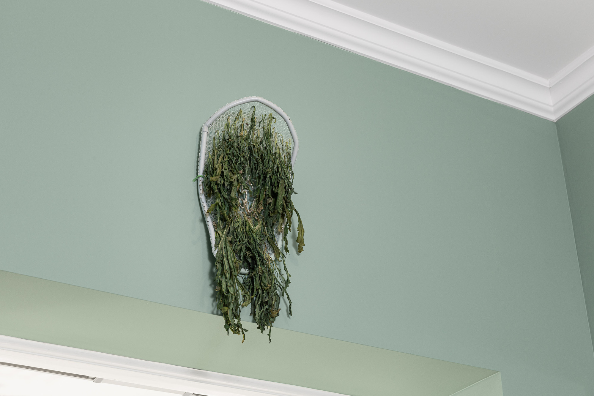 (Pollen) - beeswax, pollen collected from Brugmansia, sheet plastic, tape - 2022. Photo: Susann Jamtøy/BABEL