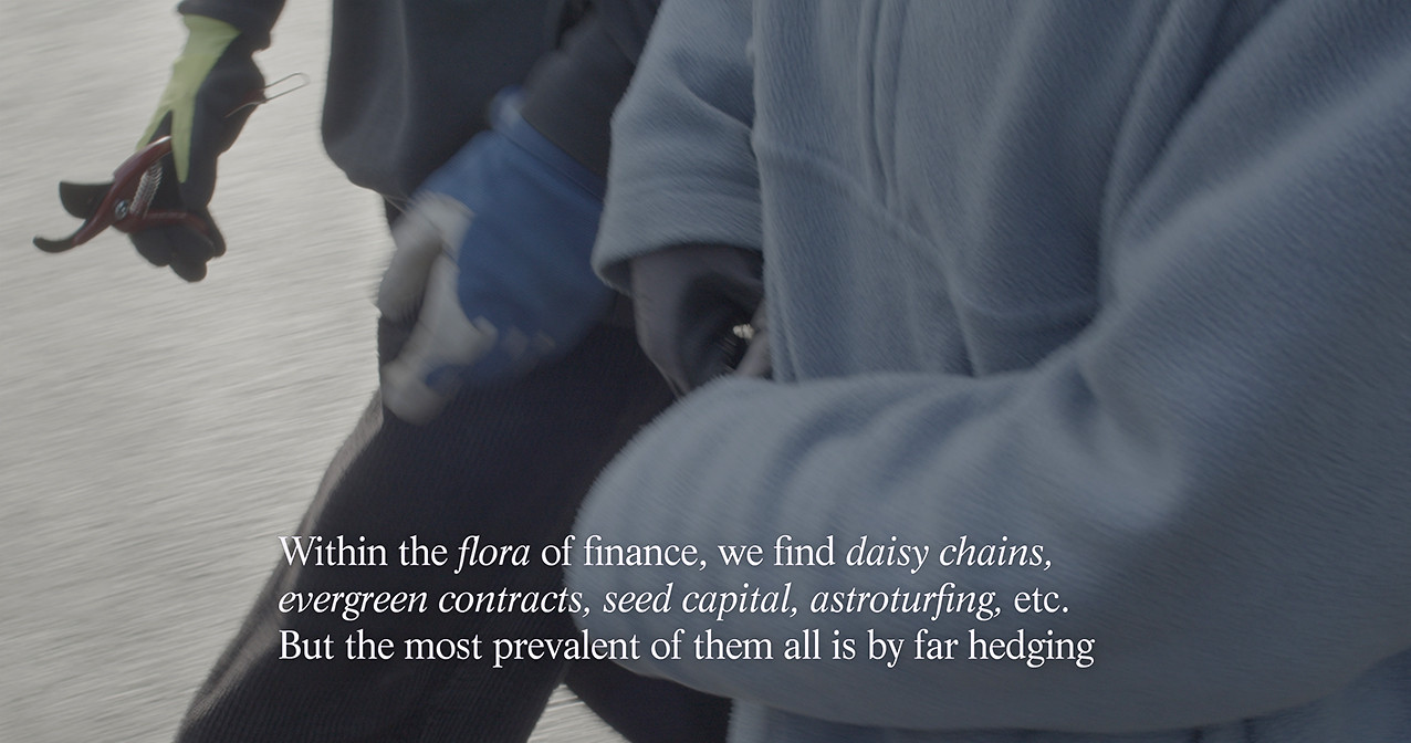 The Flora: ‘Hedging’ (11:30 minutes, 4K, 2024)
Eline Benjaminsen & Dayna Casey