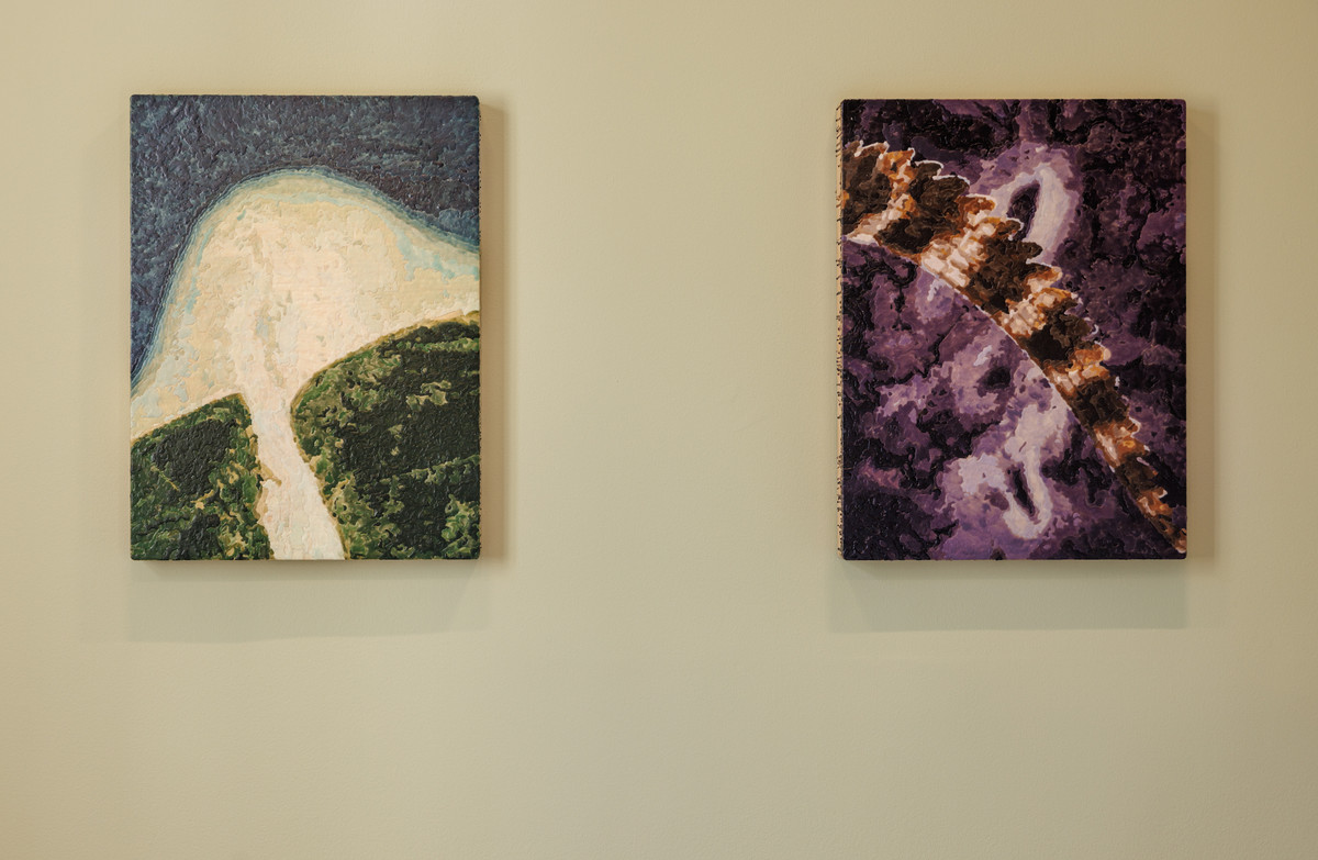 Ogulagha, 2024 and Benikrukru, 2024. Petroleum wax with pigment on wooden panels 60 x 80 cm. Photo: Eivind Lauritzen / Galleri F15 

