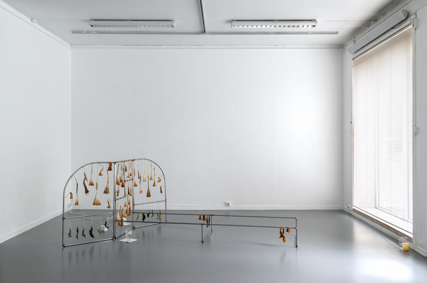 States of perpetual relief Copper pipes, monofilament, tin, silver, latex, opium, poppies (Papaver somniferum). Photo: Tor S. Ulstein / KUNSTDOK