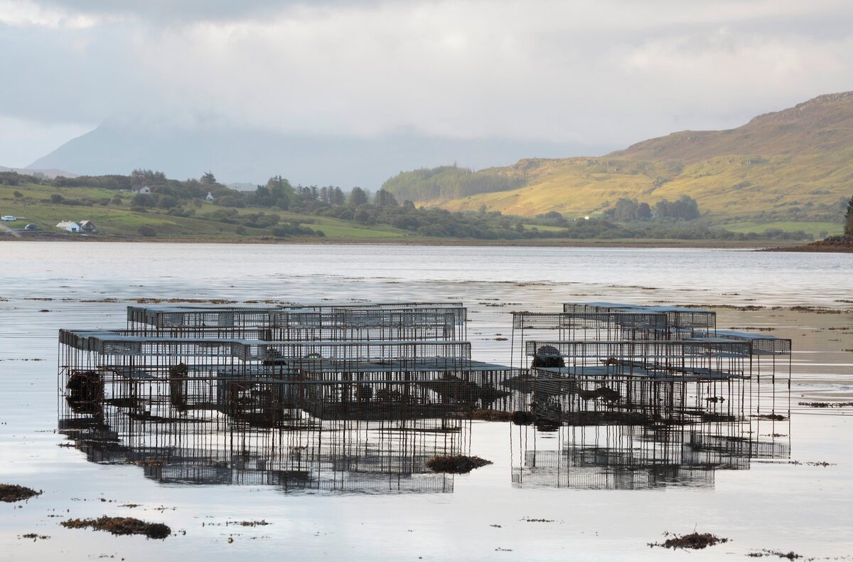 CLIMAVORE - On Tidal Zones by Cooking Sections