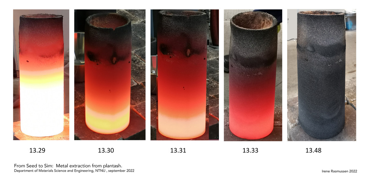 Plantash 1700 degrees
Next step: From Seed to Sim: Extraction of metals from plantash of plants in the garden Sepverkhagen.
