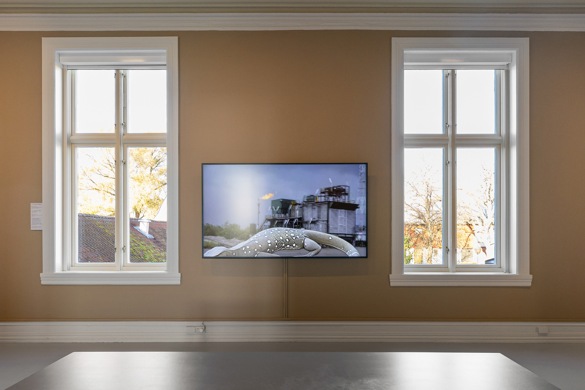 Installation view of Toru Torubiri Biri (Eye Sea Water). 2023. Video, 5 min. 40 sec., 3D Lizard by Kristoffer Amundsen, video material by Linda Lamignan, Geoffrey Ogoba and Seidougha Ogoba. Photo: Eivind Lauritzen / Galleri F15
