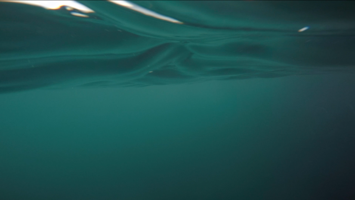 Still from the film "Ættesang" by Søssa Jørgensen. 