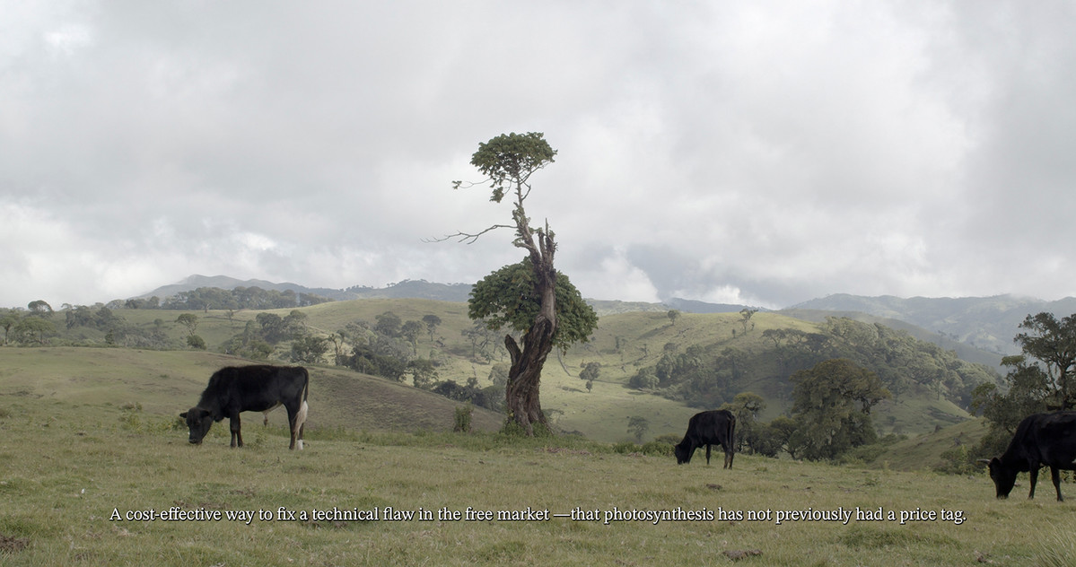Still: Footprints in the Valley (08:50 minutes, 4K, 2024) 
Eline Benjaminsen & Elias Kimaiyo